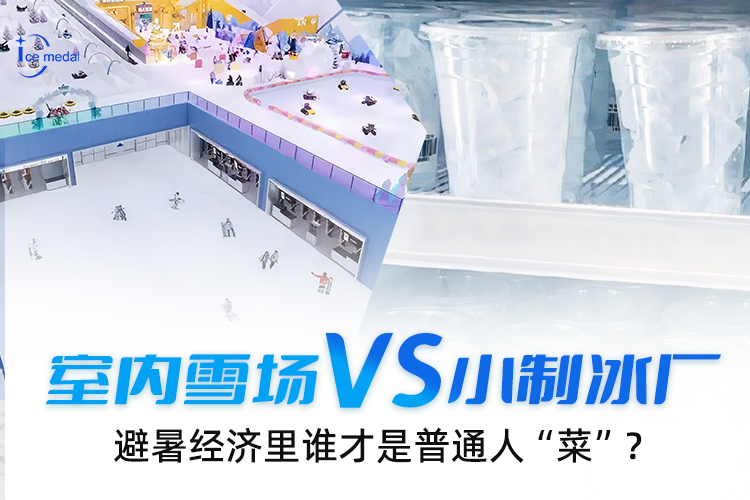 室內(nèi)雪場(chǎng)VS小制冰廠，避暑經(jīng)濟(jì)里誰(shuí)才是普通人“菜”？